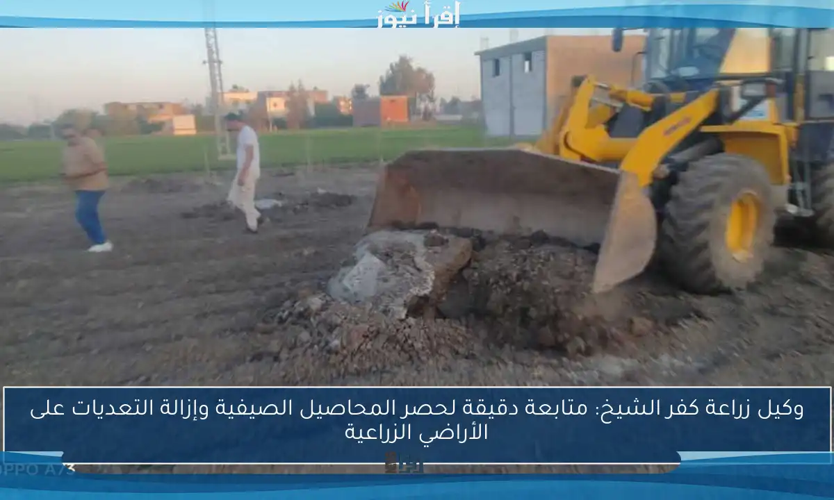وكيل زراعة كفر الشيخ: متابعة دقيقة لحصر المحاصيل الصيفية وإزالة التعديات على الأراضي الزراعية