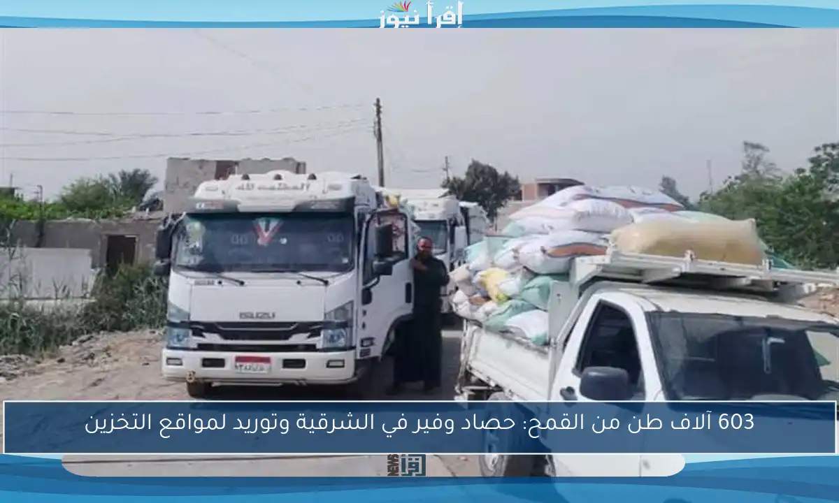 603 آلاف طن من القمح: حصاد وفير في الشرقية وتوريد لمواقع التخزين