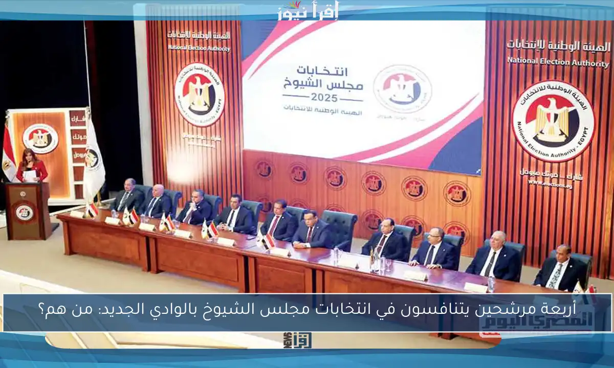 أربعة مرشحين يتنافسون في انتخابات مجلس الشيوخ بالوادي الجديد: من هم؟