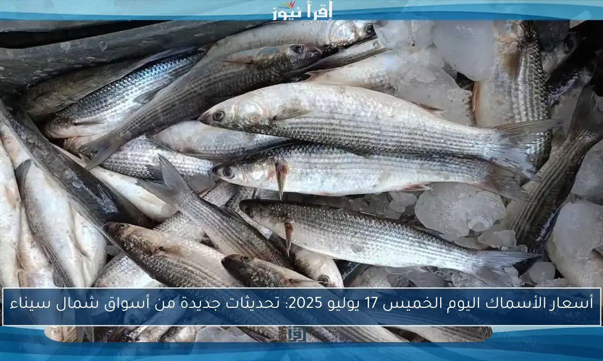أسعار الأسماك اليوم الخميس 17 يوليو 2025: تحديثات جديدة من أسواق شمال سيناء