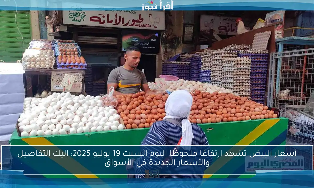 أسعار البيض تشهد ارتفاعًا ملحوظًا اليوم السبت 19 يوليو 2025: إليك التفاصيل والأسعار الجديدة في الأسواق