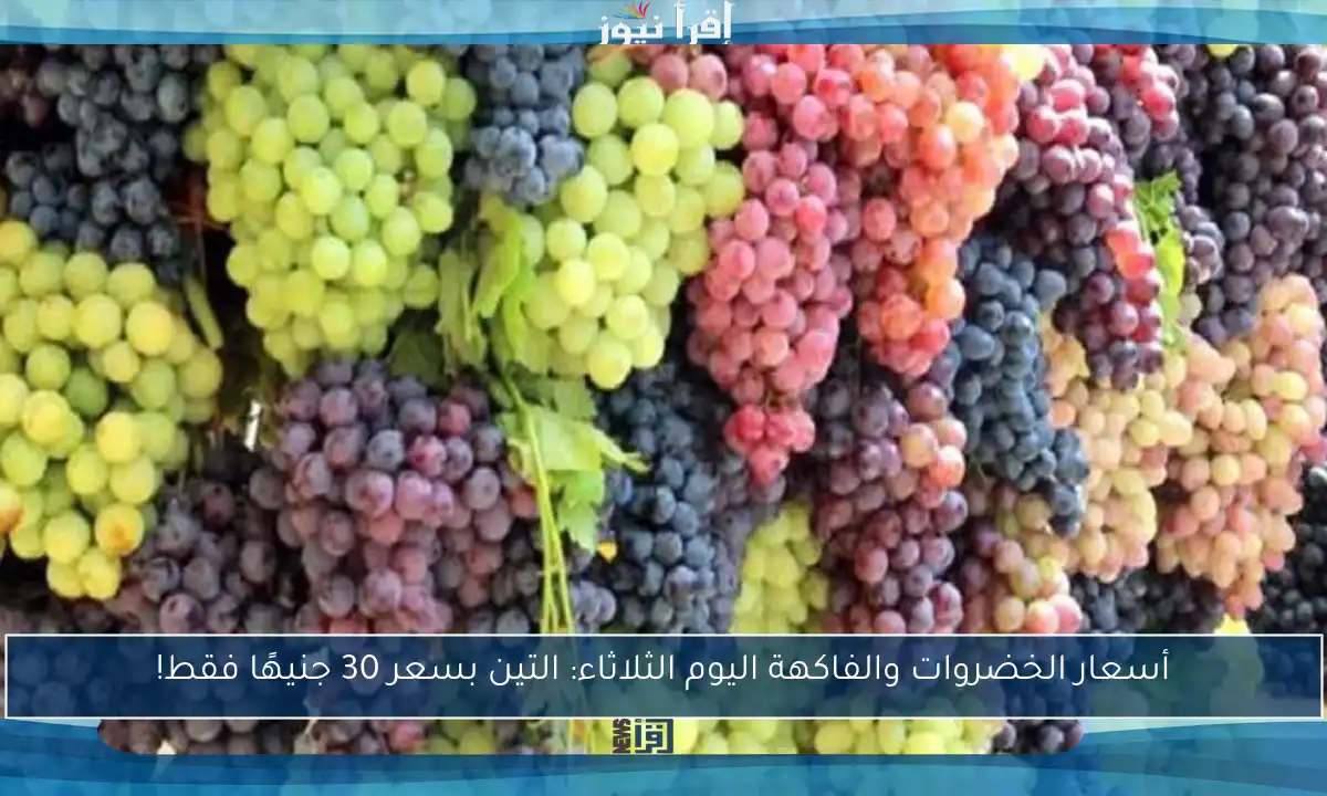أسعار الخضروات والفاكهة اليوم الثلاثاء: التين بسعر 30 جنيهًا فقط!