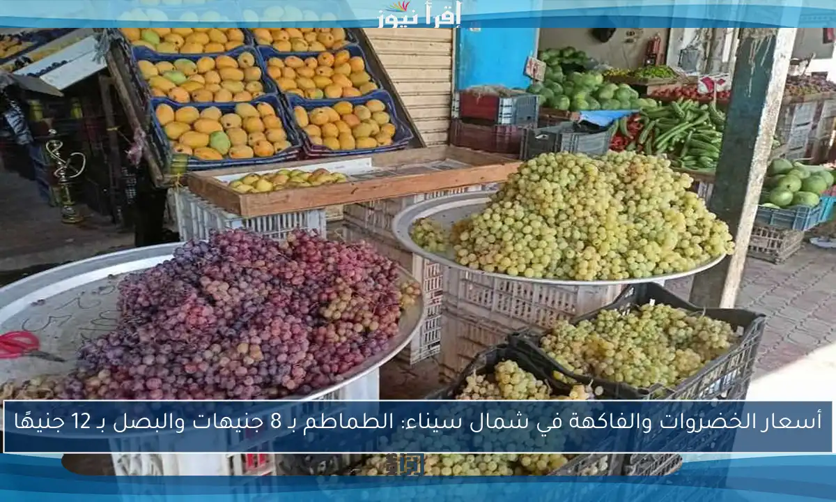 أسعار الخضروات والفاكهة في شمال سيناء: الطماطم بـ 8 جنيهات والبصل بـ 12 جنيهًا