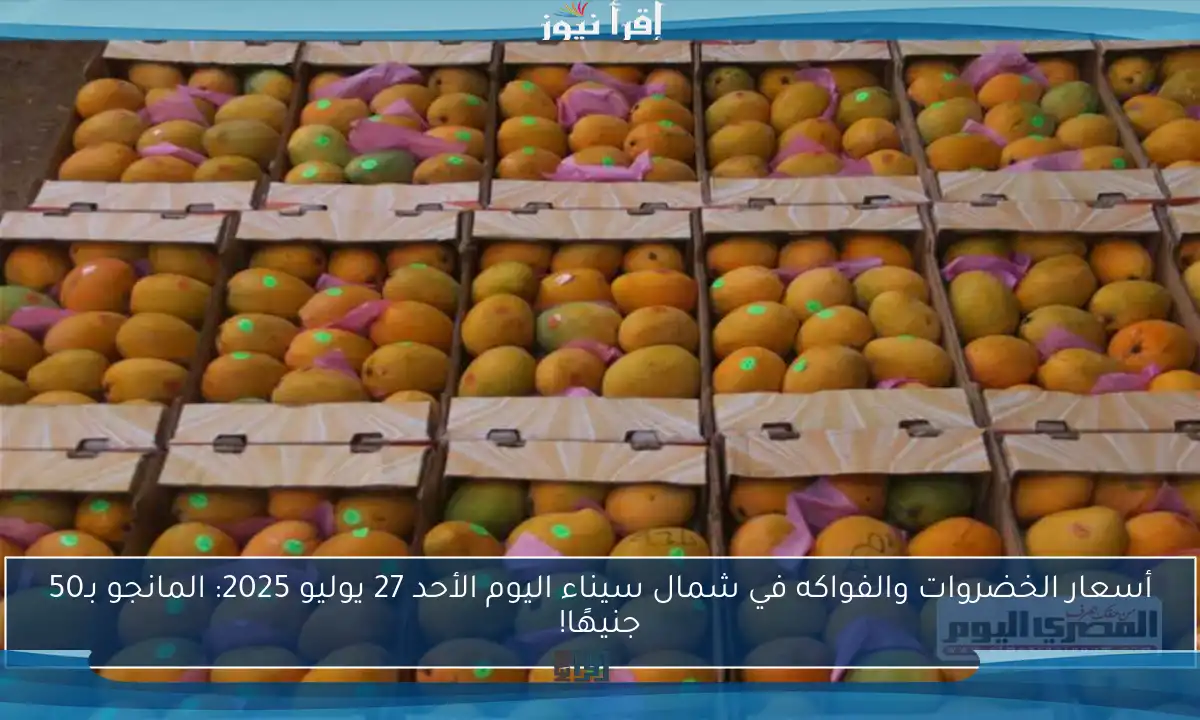 أسعار الخضروات والفواكه في شمال سيناء اليوم الأحد 27 يوليو 2025: المانجو بـ50 جنيهًا!