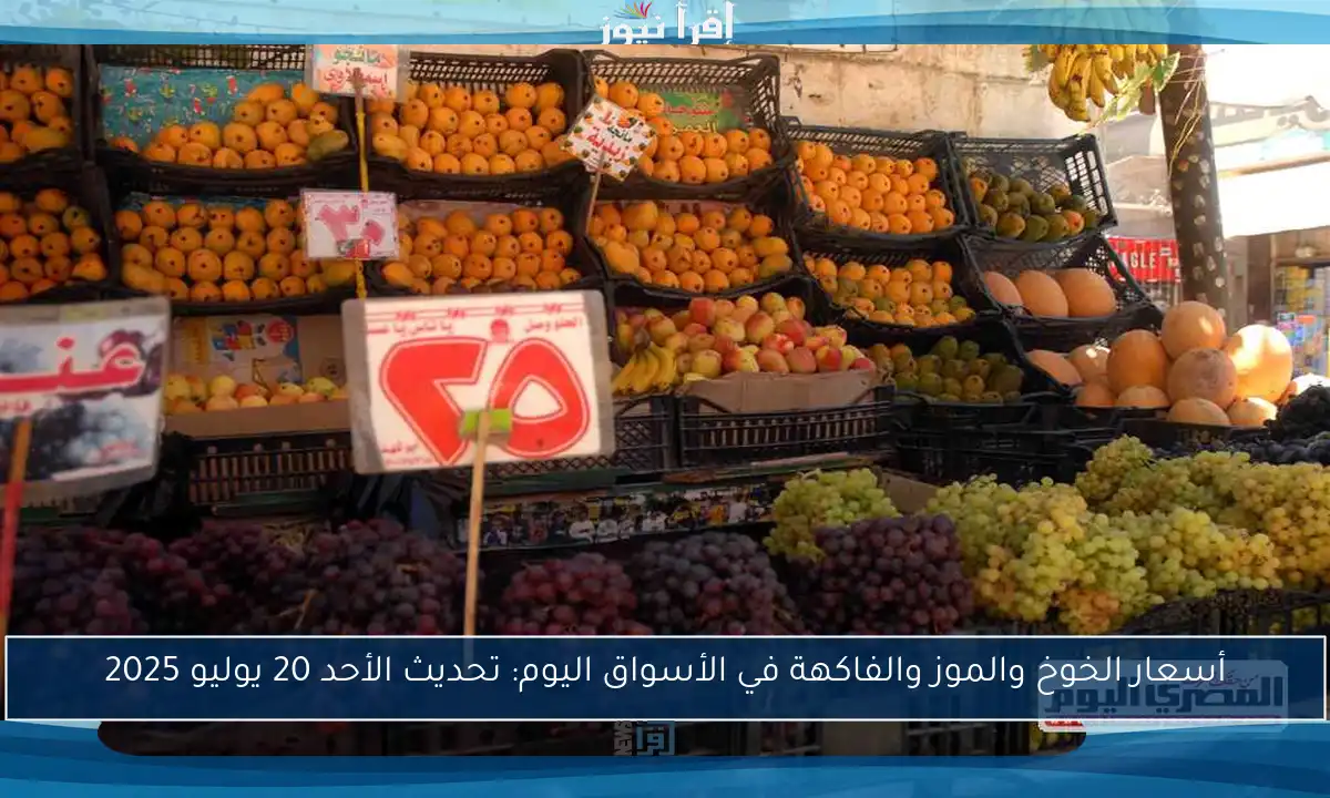 أسعار الخوخ والموز والفاكهة في الأسواق اليوم: تحديث الأحد 20 يوليو 2025