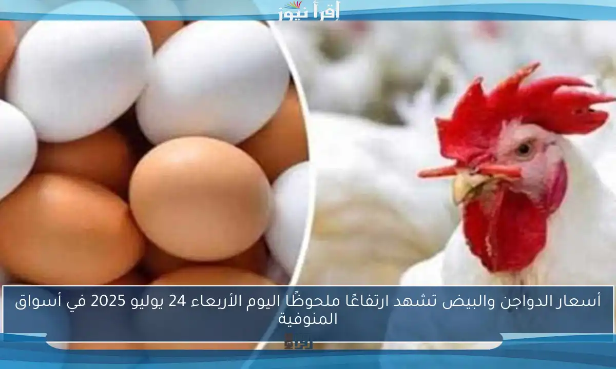 أسعار الدواجن والبيض تشهد ارتفاعًا ملحوظًا اليوم الأربعاء 24 يوليو 2025 في أسواق المنوفية