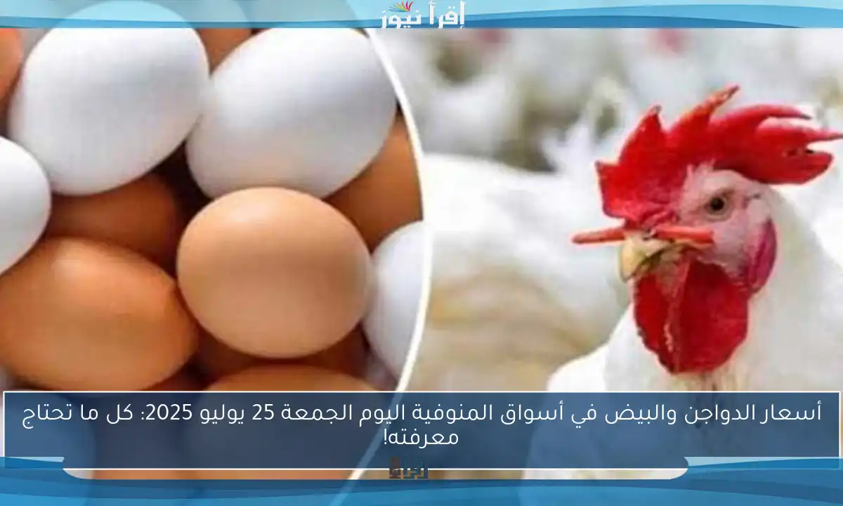أسعار الدواجن والبيض في أسواق المنوفية اليوم الجمعة 25 يوليو 2025: كل ما تحتاج معرفته!