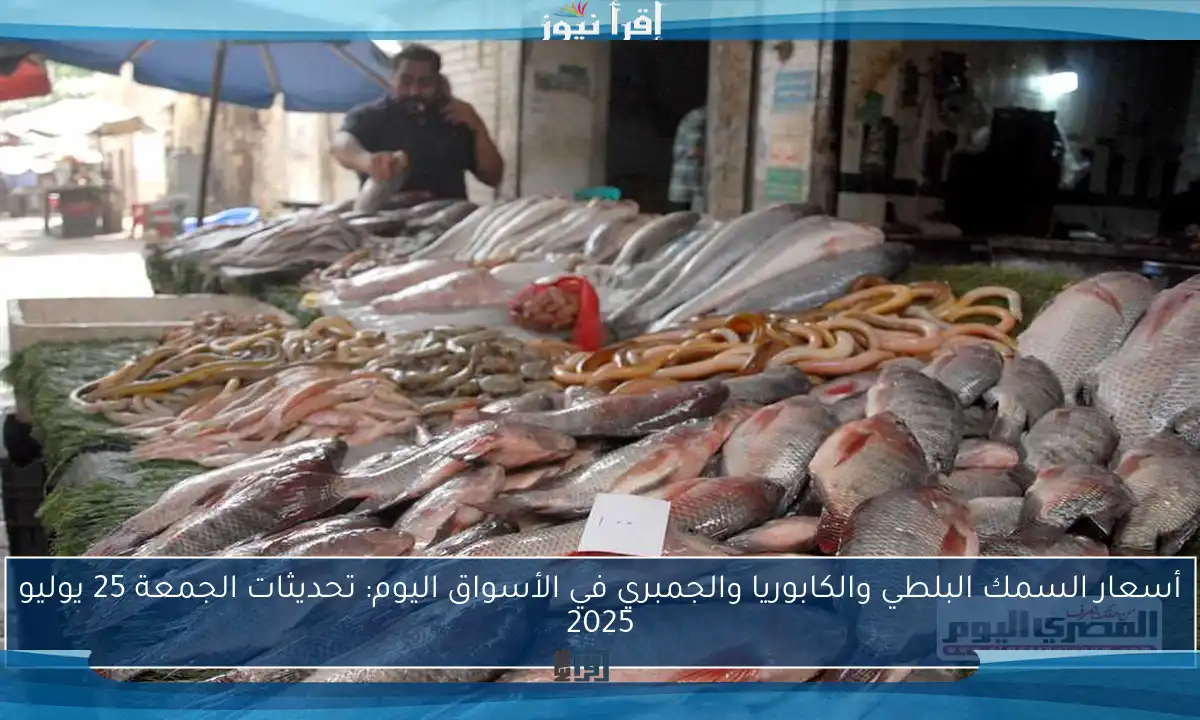 أسعار السمك البلطي والكابوريا والجمبري في الأسواق اليوم: تحديثات الجمعة 25 يوليو 2025