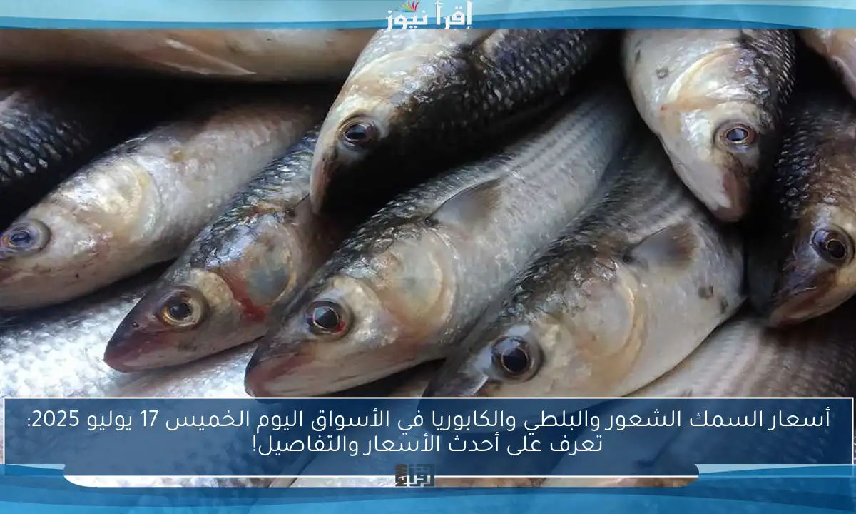 أسعار السمك الشعور والبلطي والكابوريا في الأسواق اليوم الخميس 17 يوليو 2025: تعرف على أحدث الأسعار والتفاصيل!