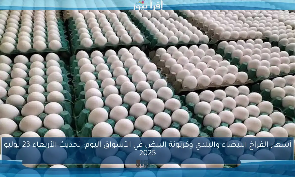 أسعار الفراخ البيضاء والبلدي وكرتونة البيض في الأسواق اليوم: تحديث الأربعاء 23 يوليو 2025