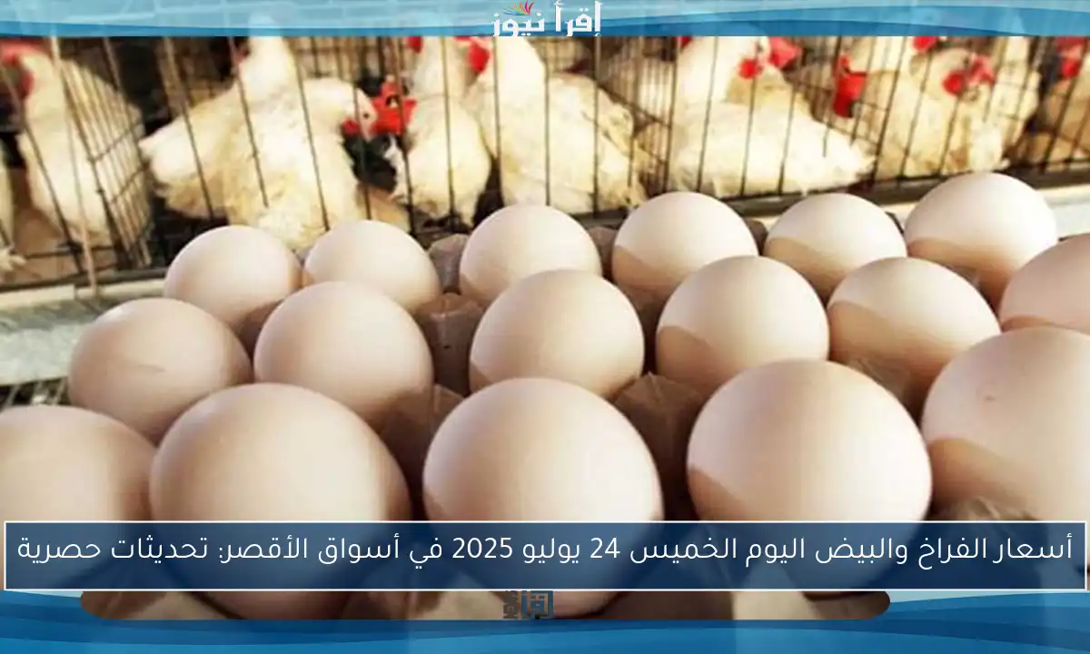 أسعار الفراخ والبيض اليوم الخميس 24 يوليو 2025 في أسواق الأقصر: تحديثات حصرية