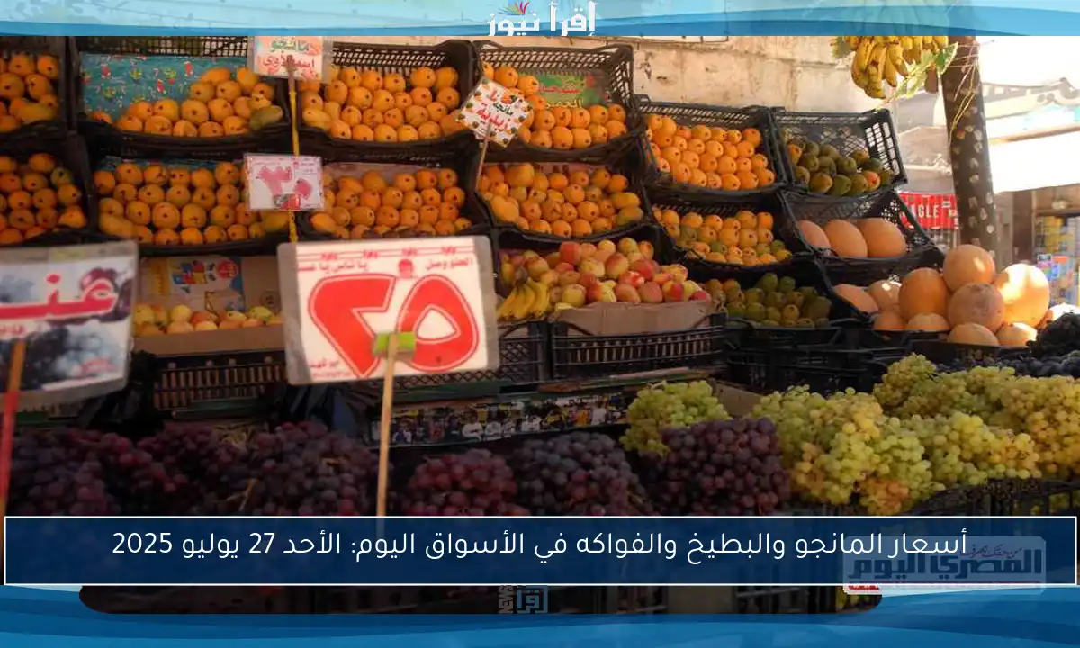 أسعار المانجو والبطيخ والفواكه في الأسواق اليوم: الأحد 27 يوليو 2025
