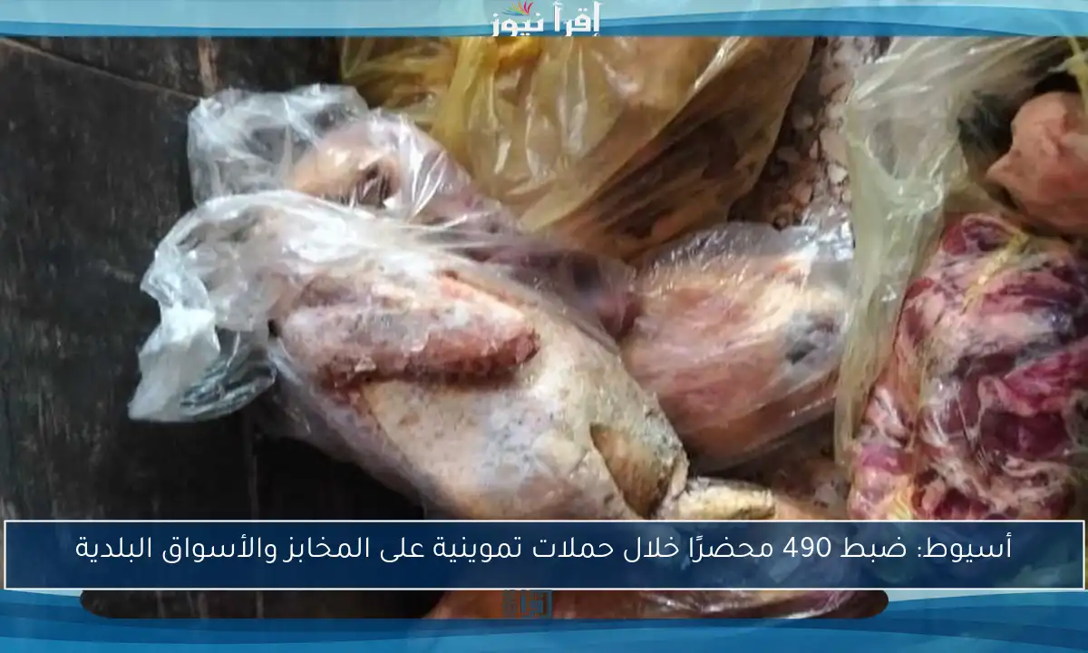 أسيوط: ضبط 490 محضرًا خلال حملات تموينية على المخابز والأسواق البلدية