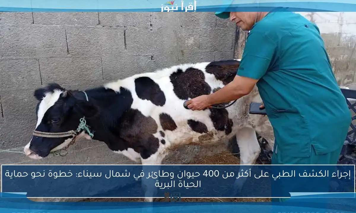 إجراء الكشف الطبي على أكثر من 400 حيوان وطائر في شمال سيناء: خطوة نحو حماية الحياة البرية