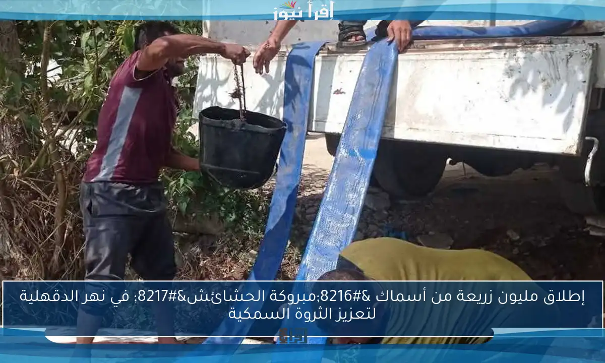 إطلاق مليون زريعة من أسماك ‘مبروكة الحشائش’ في نهر الدقهلية لتعزيز الثروة السمكية
