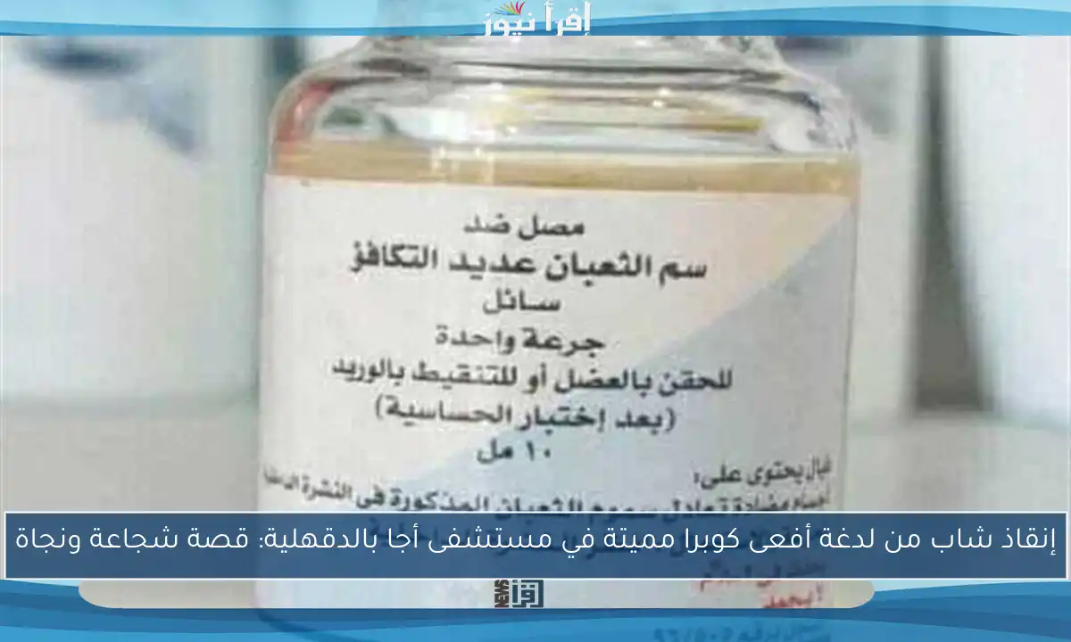 إنقاذ شاب من لدغة أفعى كوبرا مميتة في مستشفى أجا بالدقهلية: قصة شجاعة ونجاة