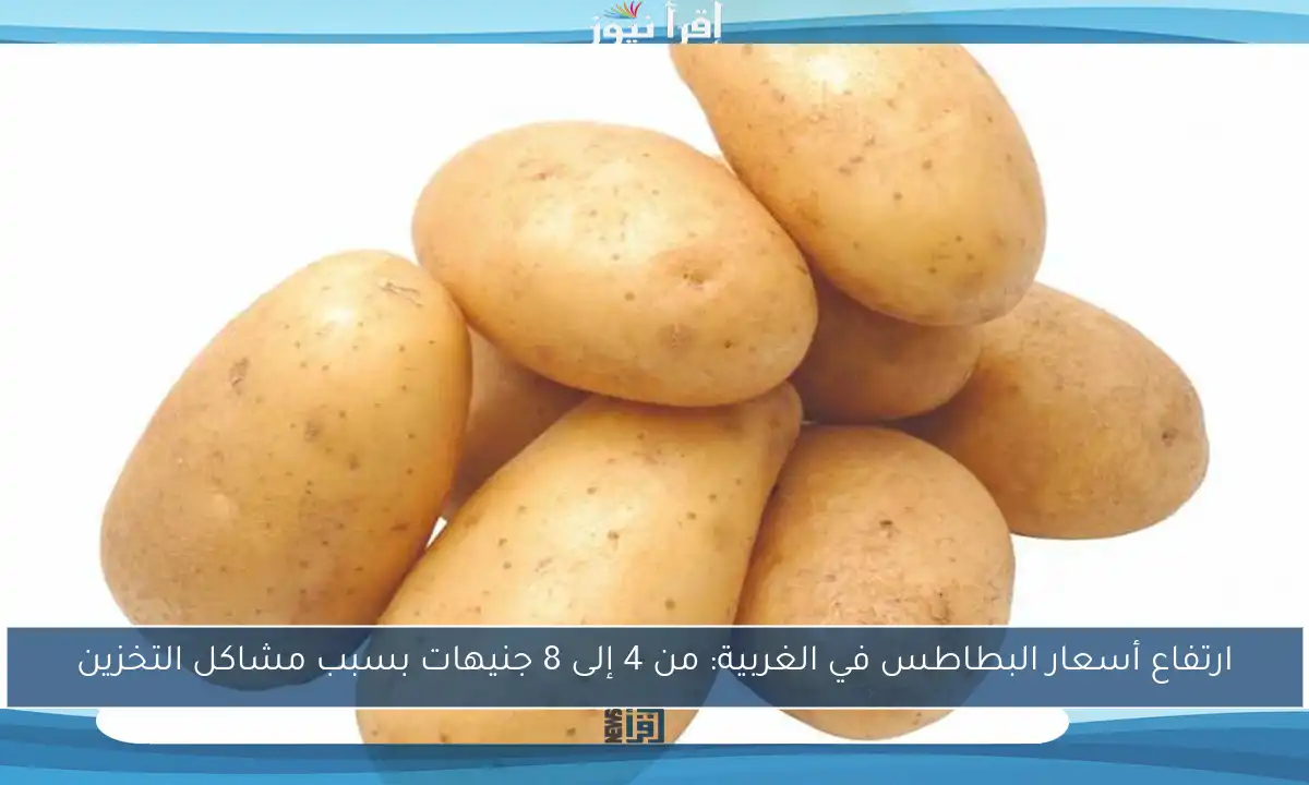 ارتفاع أسعار البطاطس في الغربية: من 4 إلى 8 جنيهات بسبب مشاكل التخزين