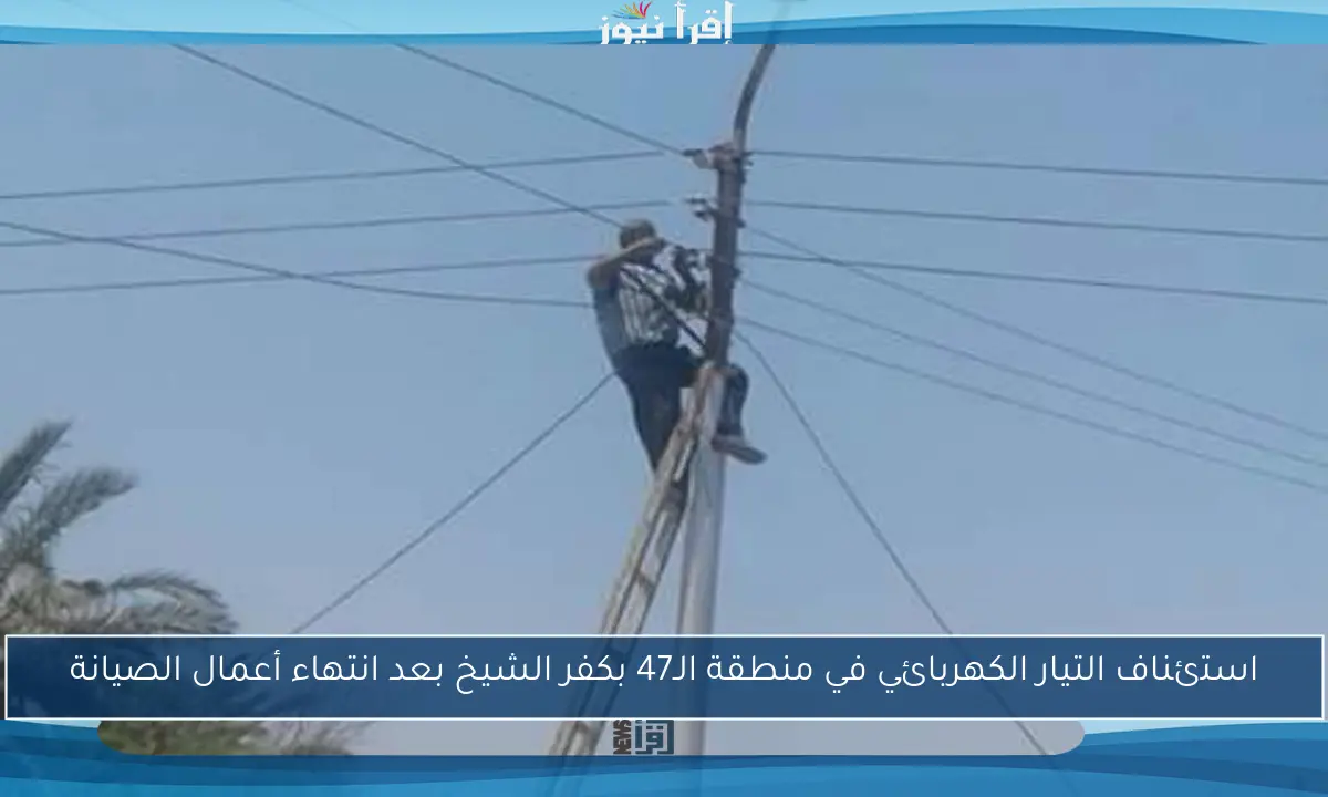 استئناف التيار الكهربائي في منطقة الـ47 بكفر الشيخ بعد انتهاء أعمال الصيانة