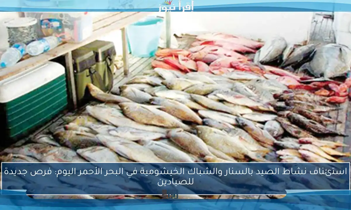 استئناف نشاط الصيد بالسنار والشباك الخيشومية في البحر الأحمر اليوم: فرص جديدة للصيادين
