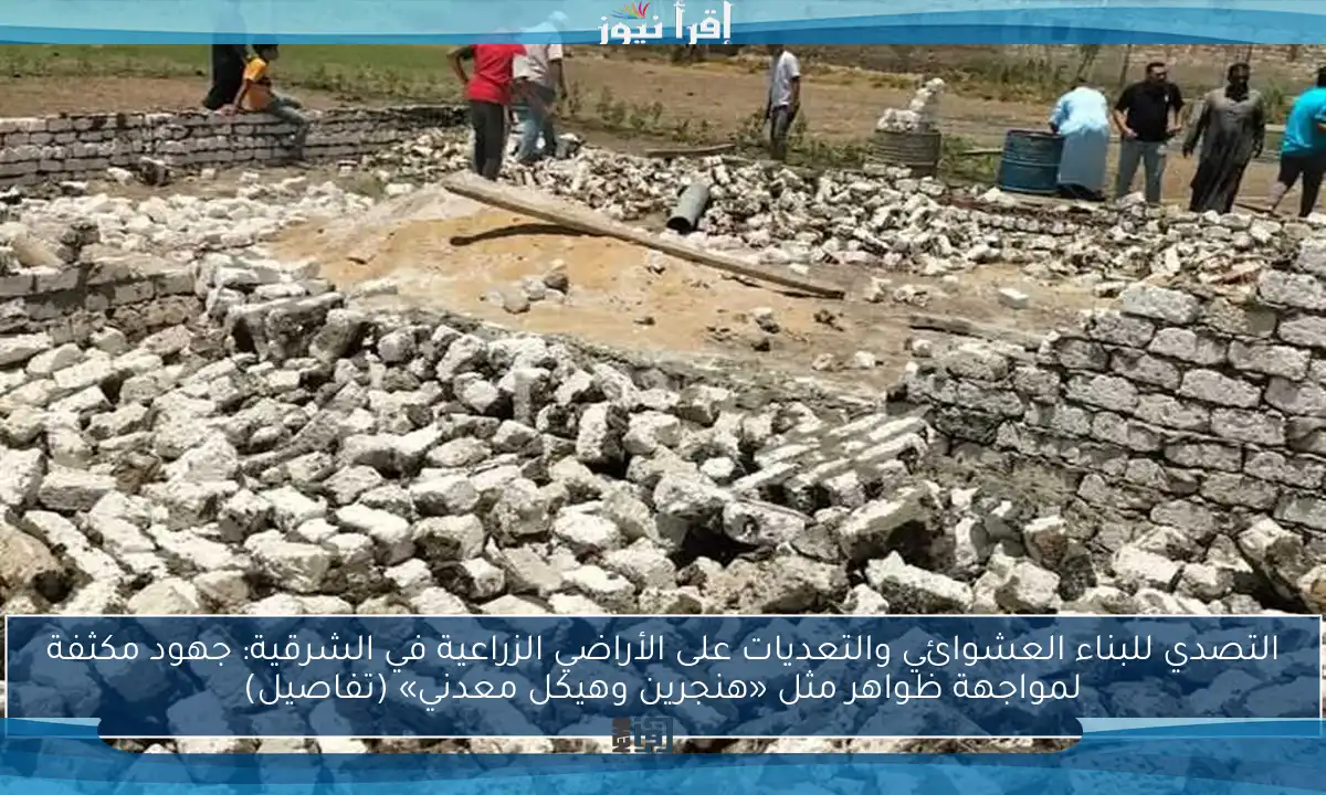 التصدي للبناء العشوائي والتعديات على الأراضي الزراعية في الشرقية: جهود مكثفة لمواجهة ظواهر مثل «هنجرين وهيكل معدني» (تفاصيل)