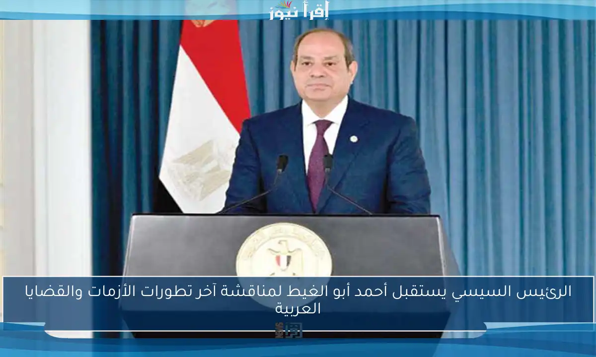 الرئيس السيسي يستقبل أحمد أبو الغيط لمناقشة آخر تطورات الأزمات والقضايا العربية