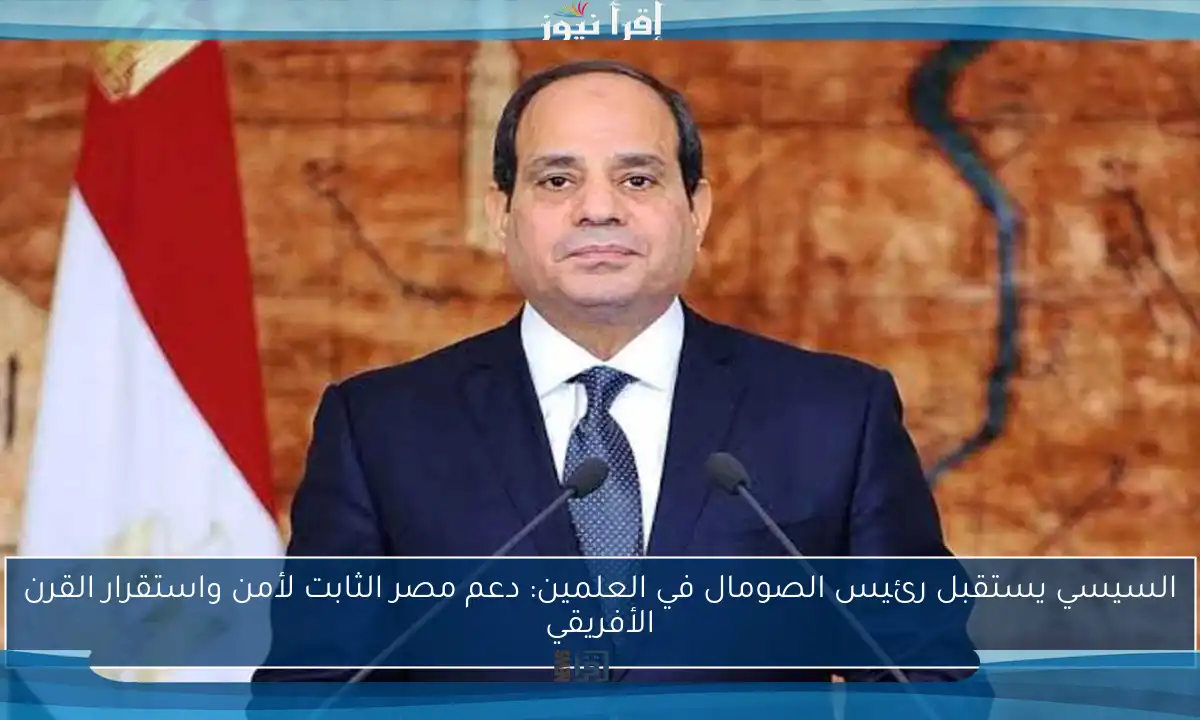 السيسي يستقبل رئيس الصومال في العلمين: دعم مصر الثابت لأمن واستقرار القرن الأفريقي