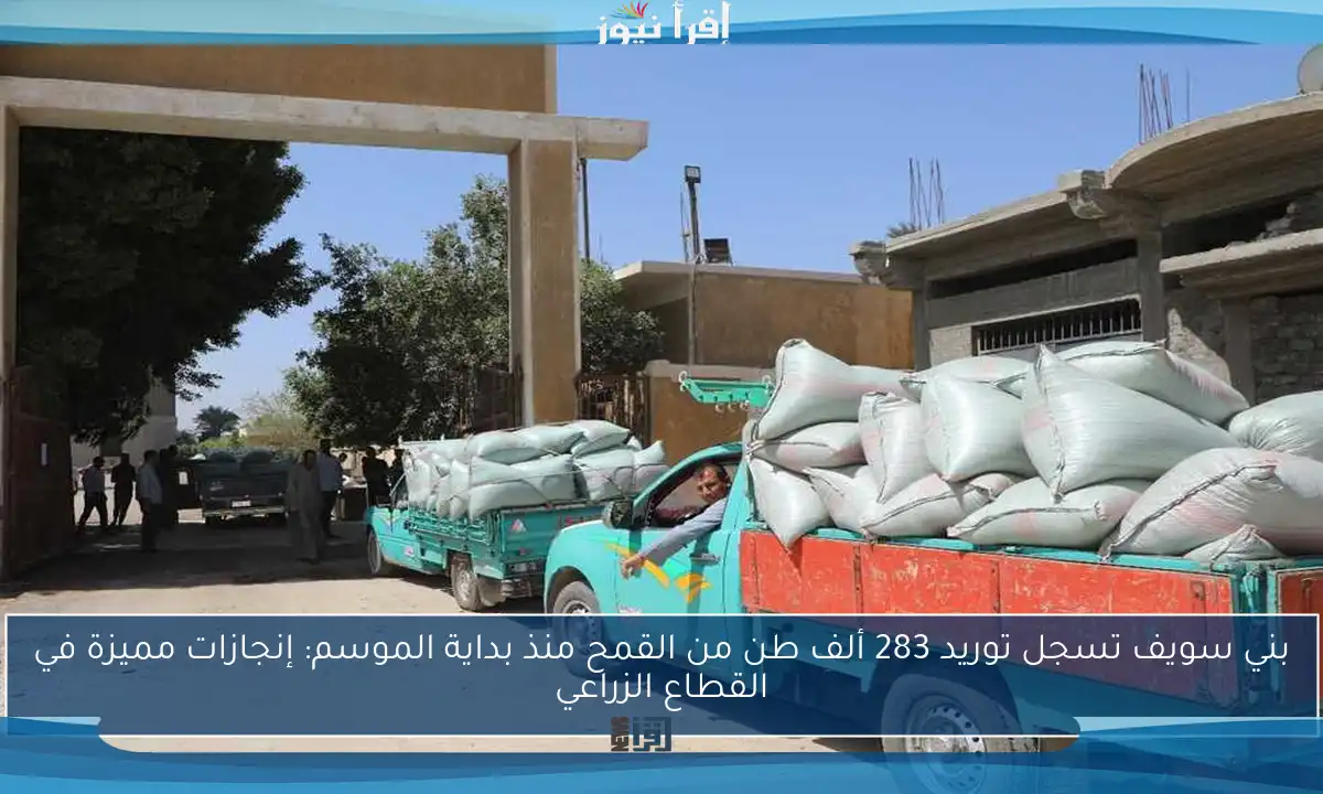 بني سويف تسجل توريد 283 ألف طن من القمح منذ بداية الموسم: إنجازات مميزة في القطاع الزراعي