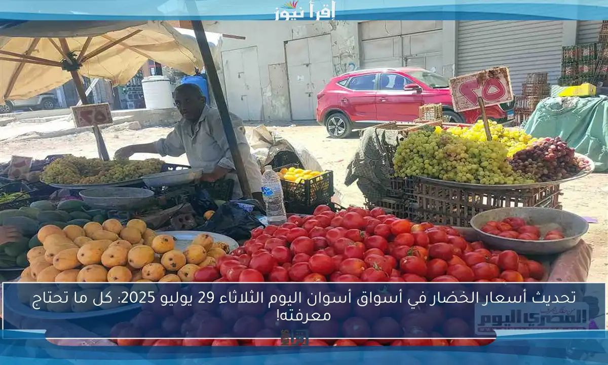 تحديث أسعار الخضار في أسواق أسوان اليوم الثلاثاء 29 يوليو 2025: كل ما تحتاج معرفته!