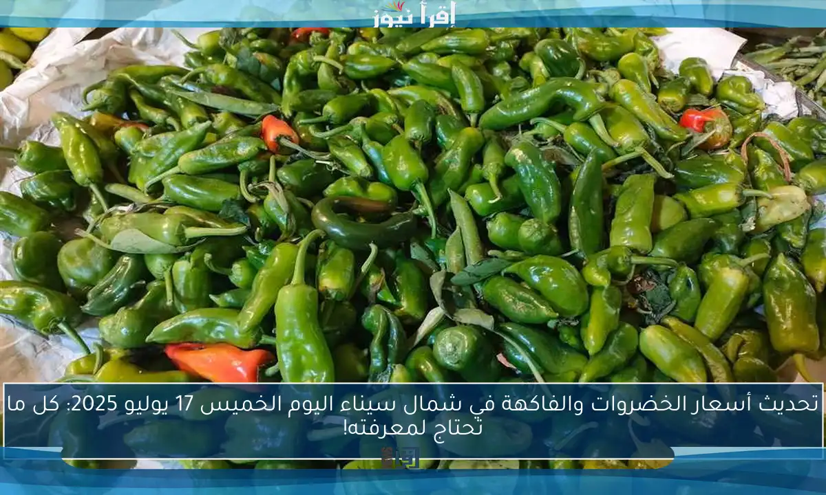 تحديث أسعار الخضروات والفاكهة في شمال سيناء اليوم الخميس 17 يوليو 2025: كل ما تحتاج لمعرفته!
