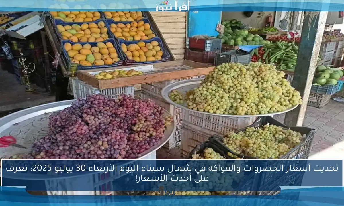 تحديث أسعار الخضروات والفواكه في شمال سيناء اليوم الأربعاء 30 يوليو 2025: تعرف على أحدث الأسعار!