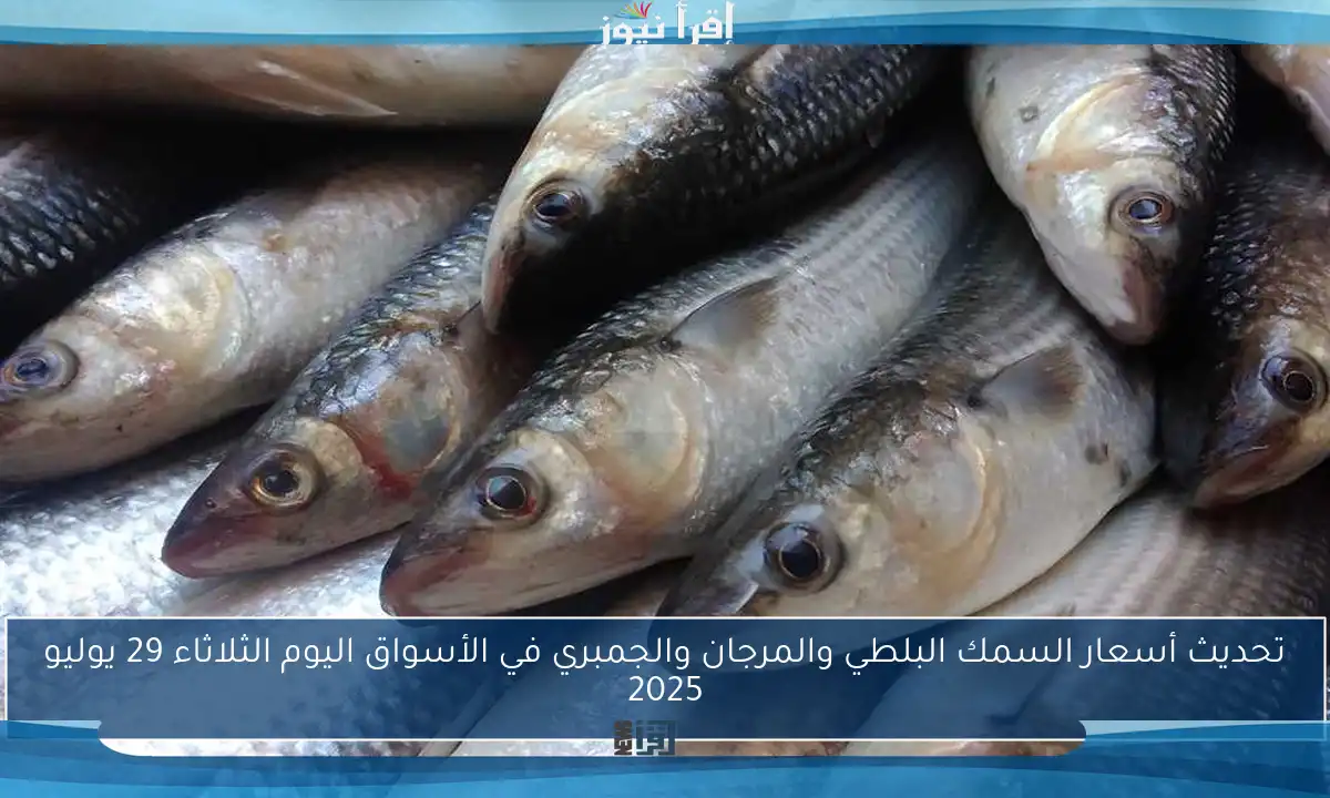 تحديث أسعار السمك البلطي والمرجان والجمبري في الأسواق اليوم الثلاثاء 29 يوليو 2025