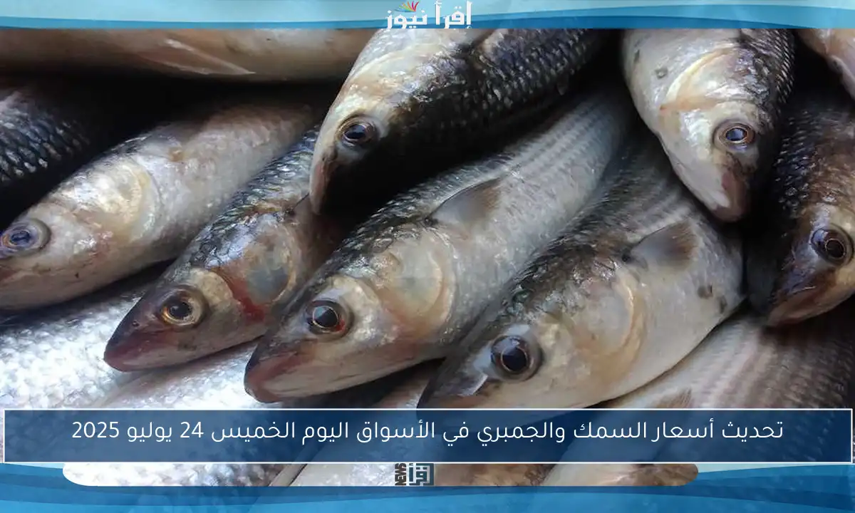 تحديث أسعار السمك والجمبري في الأسواق اليوم الخميس 24 يوليو 2025