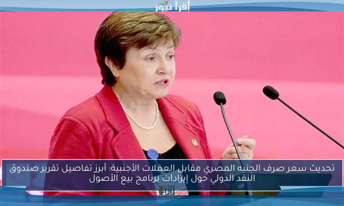 تحديث سعر صرف الجنيه المصري مقابل العملات الأجنبية: أبرز تفاصيل تقرير صندوق النقد الدولي حول إيرادات برنامج بيع الأصول
