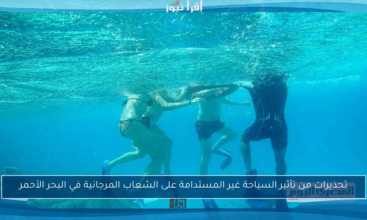 تحذيرات من تأثير السياحة غير المستدامة على الشعاب المرجانية في البحر الأحمر