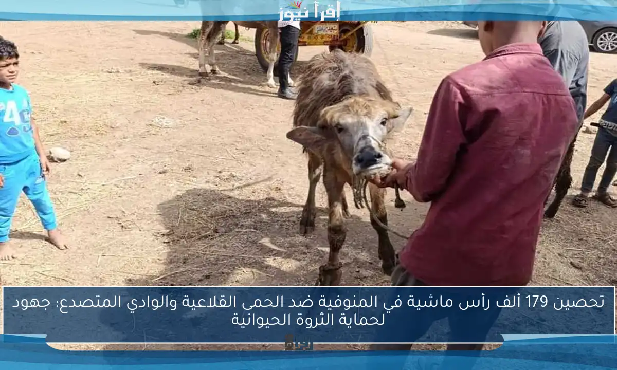 تحصين 179 ألف رأس ماشية في المنوفية ضد الحمى القلاعية والوادي المتصدع: جهود لحماية الثروة الحيوانية