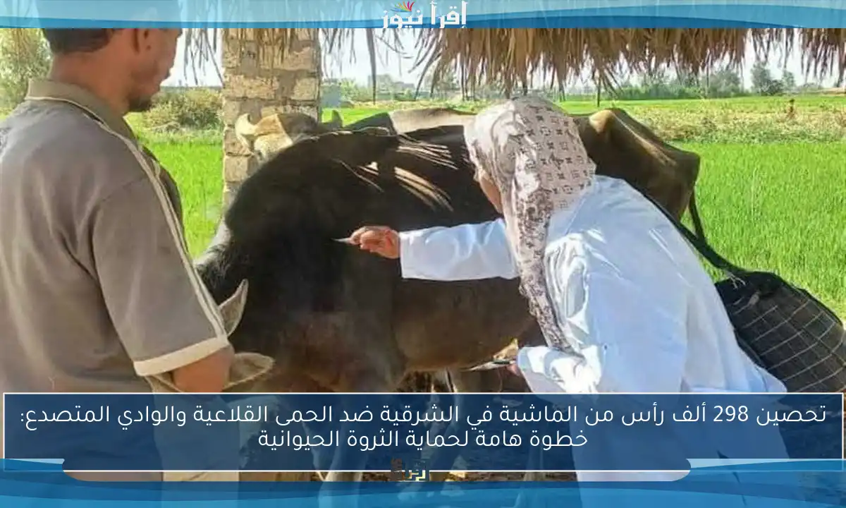 تحصين 298 ألف رأس من الماشية في الشرقية ضد الحمى القلاعية والوادي المتصدع: خطوة هامة لحماية الثروة الحيوانية