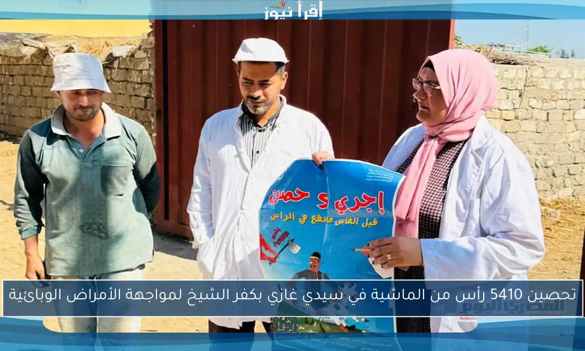 تحصين 5410 رأس من الماشية في سيدي غازي بكفر الشيخ لمواجهة الأمراض الوبائية