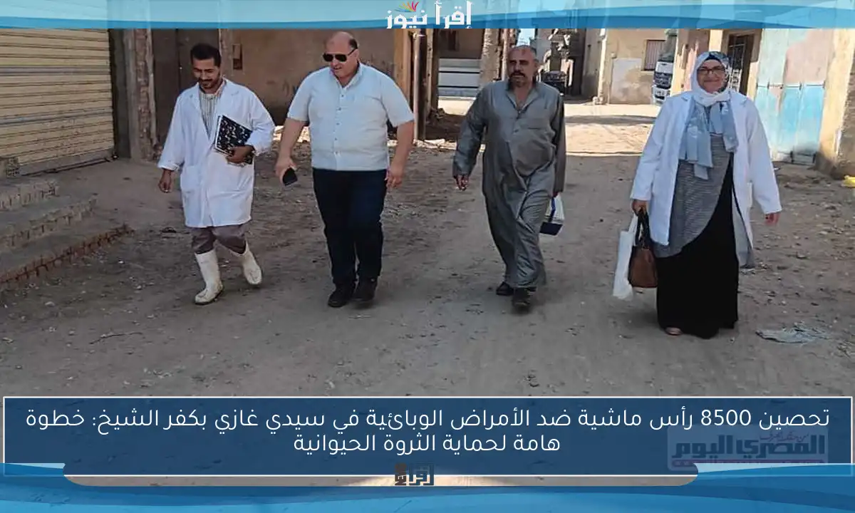 تحصين 8500 رأس ماشية ضد الأمراض الوبائية في سيدي غازي بكفر الشيخ: خطوة هامة لحماية الثروة الحيوانية