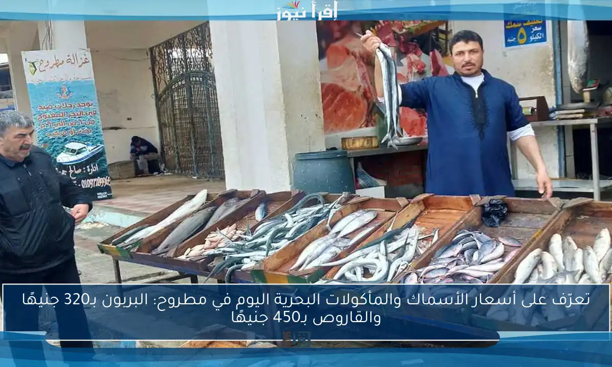 تعرّف على أسعار الأسماك والمأكولات البحرية اليوم في مطروح: البربون بـ320 جنيهًا والقاروص بـ450 جنيهًا
