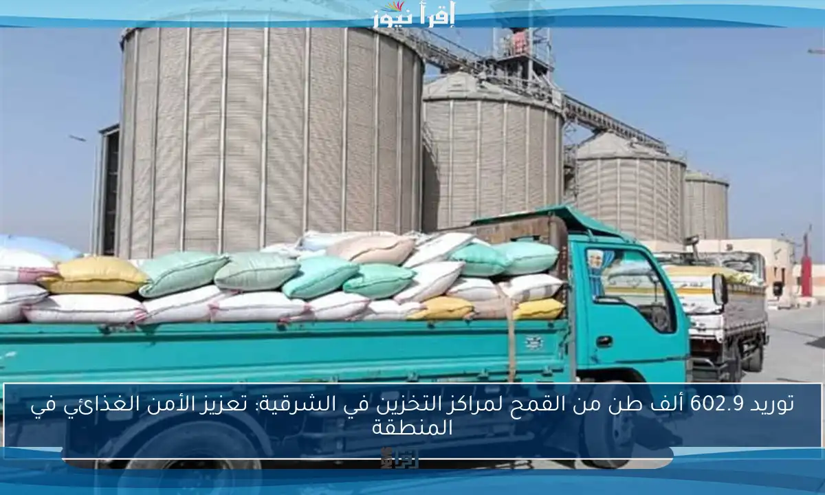 توريد 602.9 ألف طن من القمح لمراكز التخزين في الشرقية: تعزيز الأمن الغذائي في المنطقة
