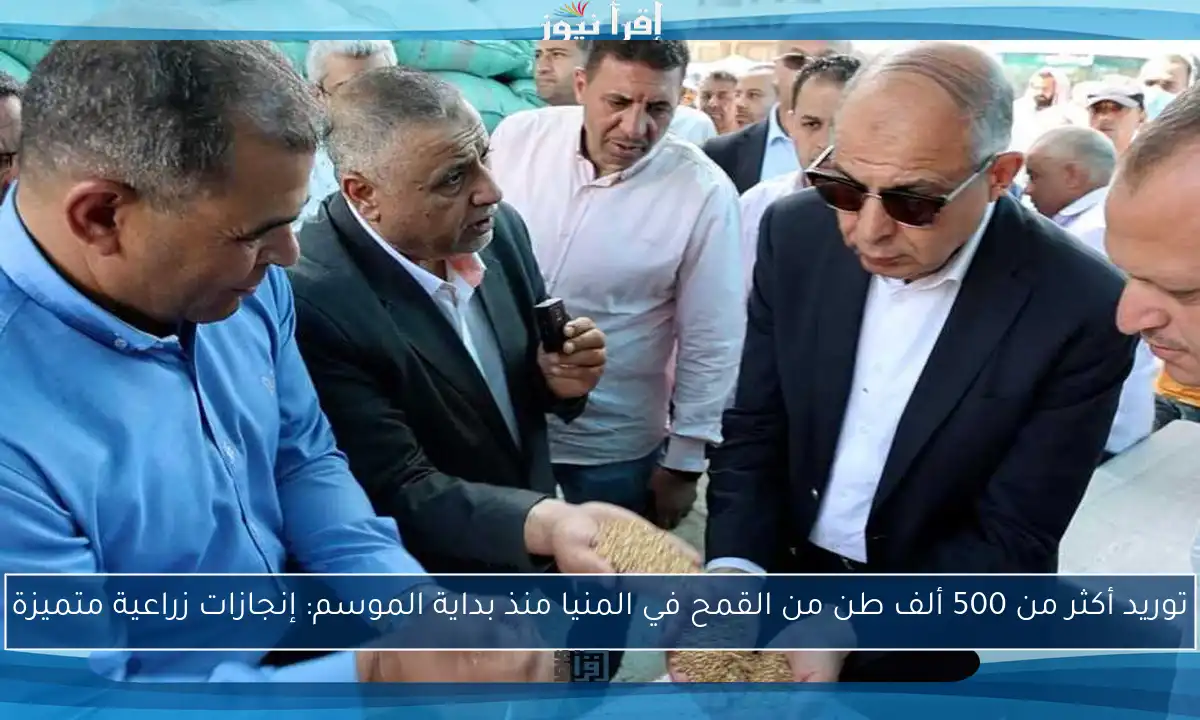 توريد أكثر من 500 ألف طن من القمح في المنيا منذ بداية الموسم: إنجازات زراعية متميزة