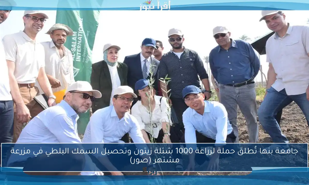 جامعة بنها تُطلق حملة لزراعة 1000 شتلة زيتون وتحصيل السمك البلطي في مزرعة مشتهر (صور)
