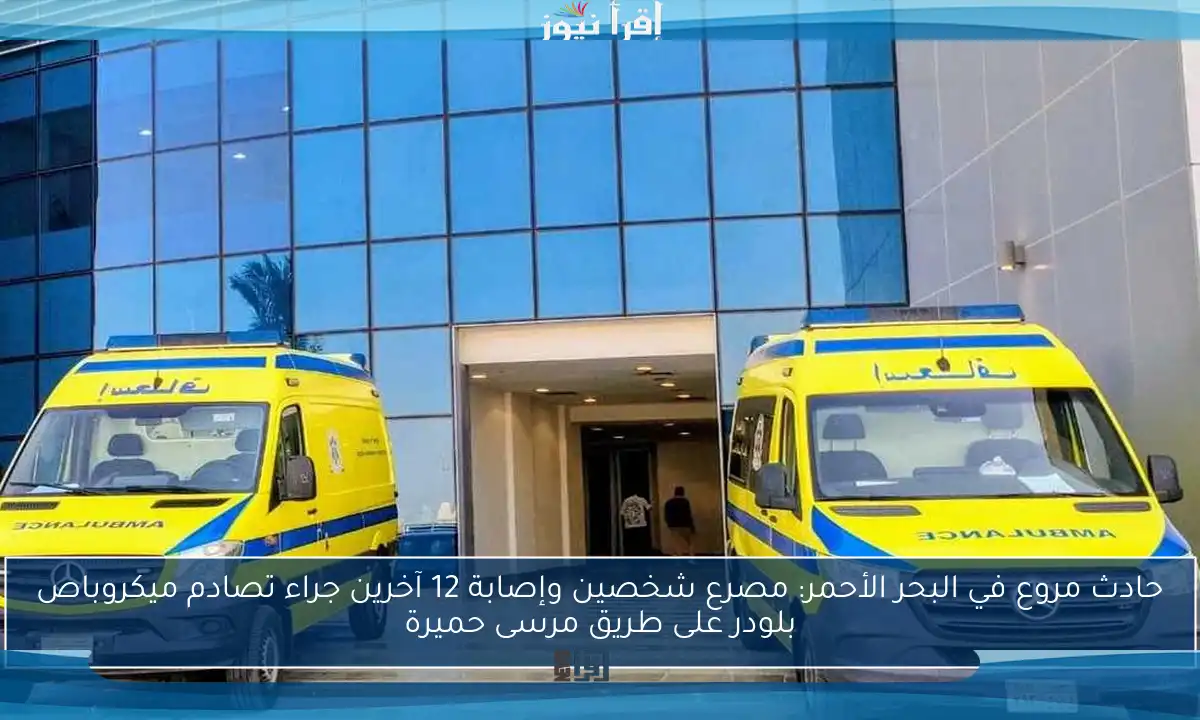 حادث مروع في البحر الأحمر: مصرع شخصين وإصابة 12 آخرين جراء تصادم ميكروباص بلودر على طريق مرسى حميرة