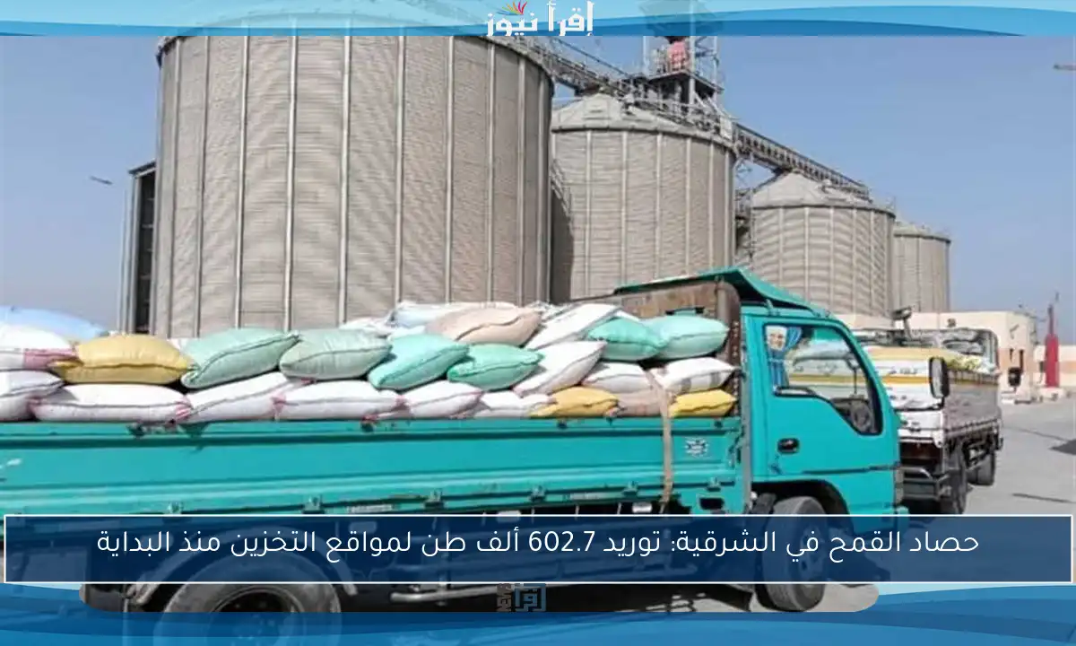 حصاد القمح في الشرقية: توريد 602.7 ألف طن لمواقع التخزين منذ البداية
