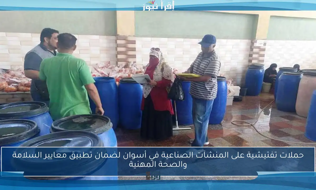 حملات تفتيشية على المنشآت الصناعية في أسوان لضمان تطبيق معايير السلامة والصحة المهنية