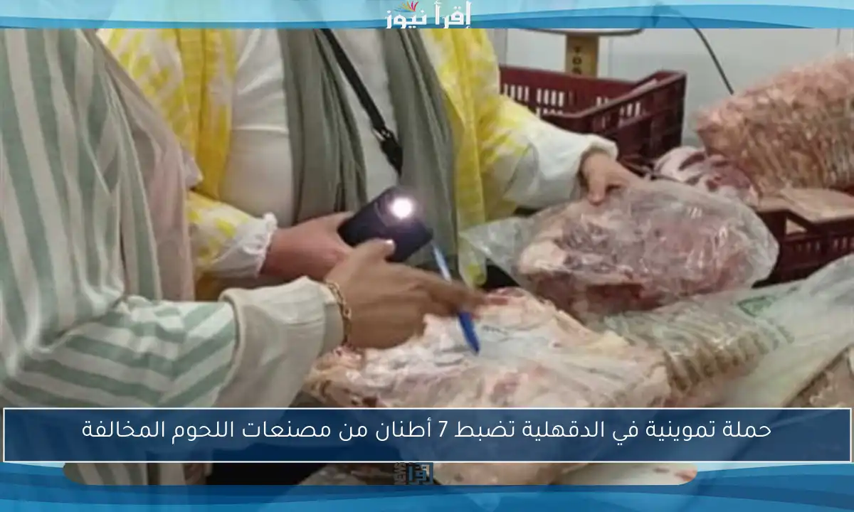 حملة تموينية في الدقهلية تضبط 7 أطنان من مصنعات اللحوم المخالفة