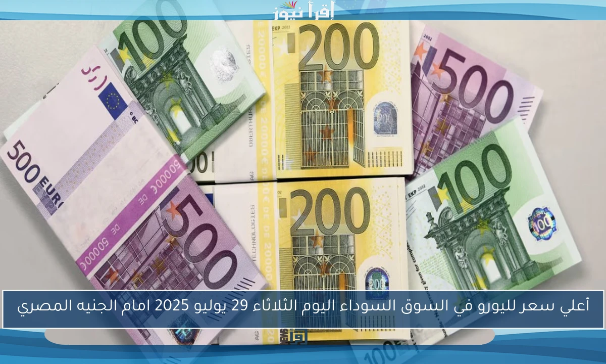 أعلي سعر لليورو في السوق السوداء اليوم الثلاثاء 29 يوليو 2025 امام الجنيه المصري