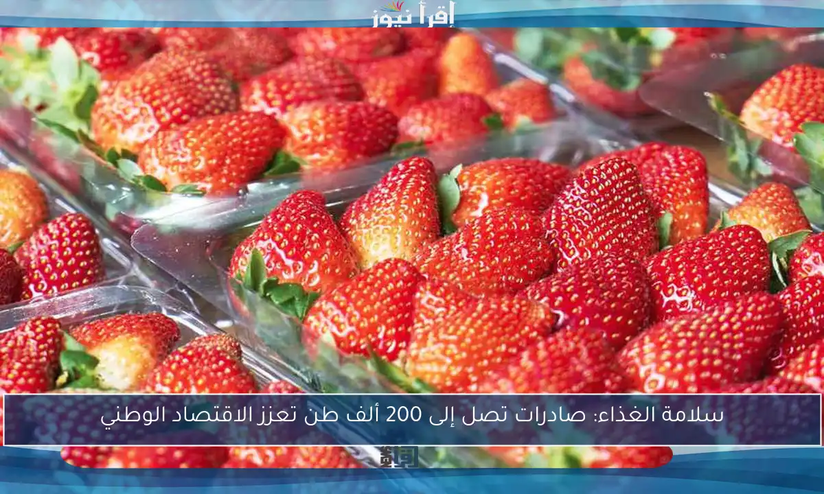 سلامة الغذاء: صادرات تصل إلى 200 ألف طن تعزز الاقتصاد الوطني