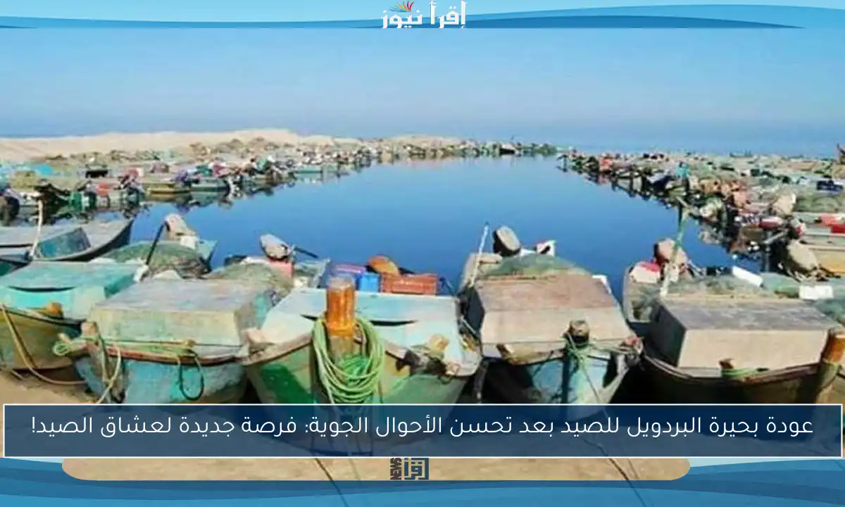 عودة بحيرة البردويل للصيد بعد تحسن الأحوال الجوية: فرصة جديدة لعشاق الصيد!