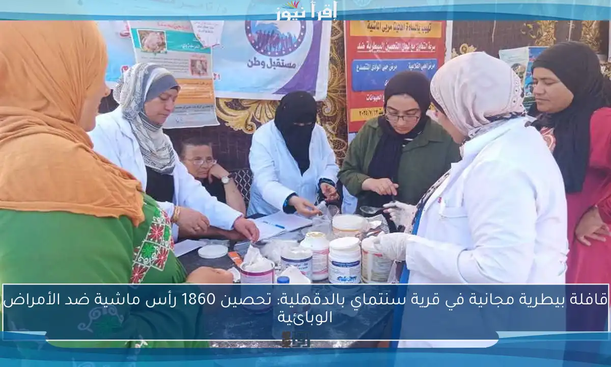 قافلة بيطرية مجانية في قرية سنتماي بالدقهلية: تحصين 1860 رأس ماشية ضد الأمراض الوبائية